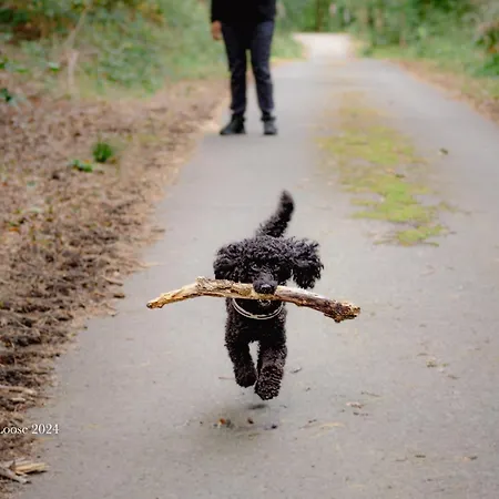 Und Restaurant Sackwitzer Muehle 酒店 3*