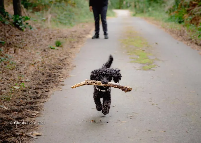 Und Restaurant Sackwitzer Muehle Szálloda 3*