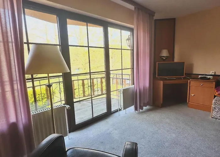 Hotel Und Restaurant Sackwitzer Muehle Bad Schmiedeberg