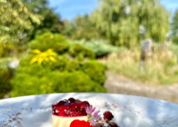 Und Restaurant Sackwitzer Muehle Bad Schmiedeberg